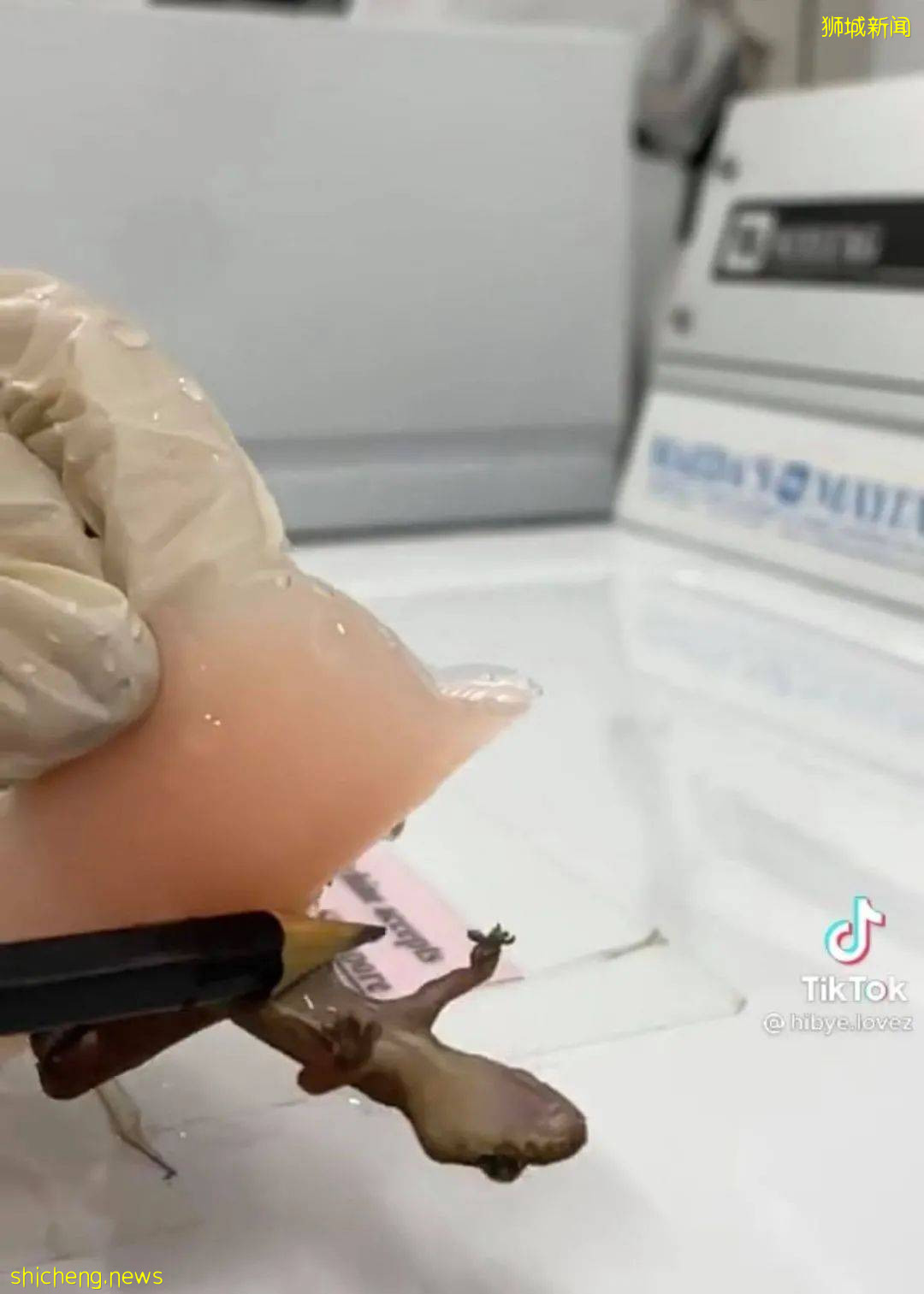 NTU 一女生发现胸贴意外丢失,究竟是谁在作祟