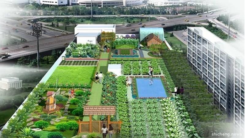 九座组屋停车场顶楼改作都市耕地 政府推出市场招标