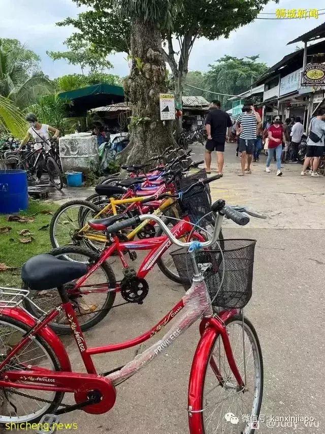 去过新加坡这个宝藏小岛吗？附交通、餐饮全攻略