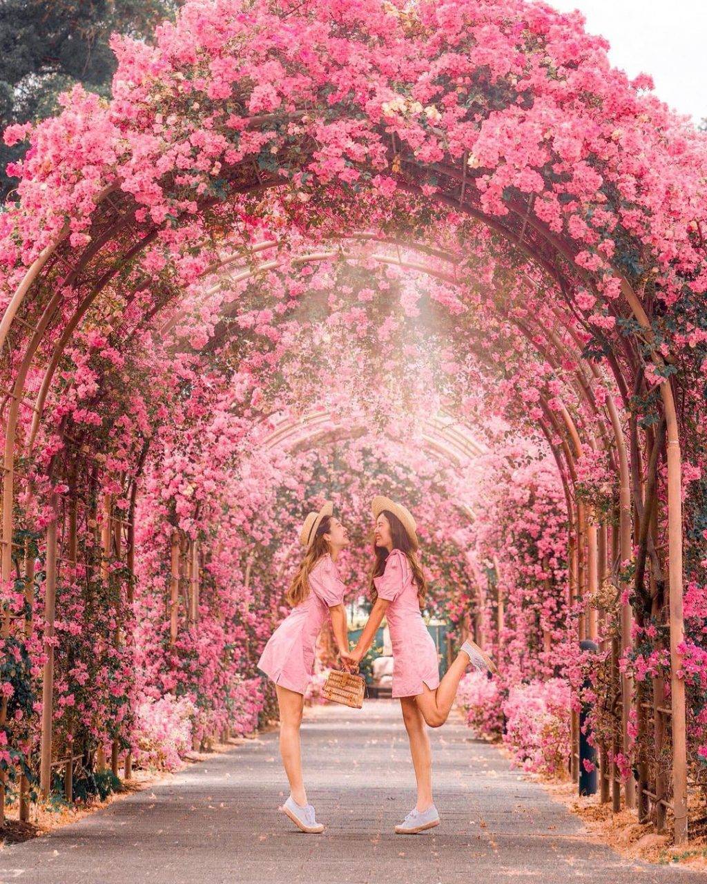 獅城日系玩法😎 新加坡探索之旅保攻略，日式“吃喝玩樂”合集！給你滿滿的日式風味🇯🇵