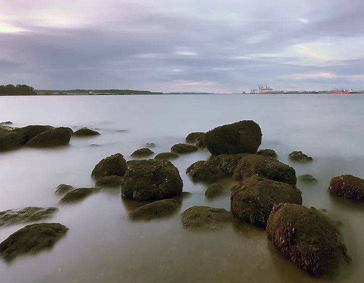 赶海、游泳、冲浪、挖沙！新加坡最棒的14个海滩，我们帮你找到啦