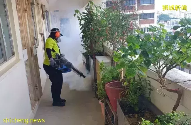 新加坡又爆发一疫情!部长说处于紧急阶段!孕妇染病进了ICU,直呼太可怕