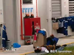 中国客工爆料：新加坡宿舍疫情爆发、吃住环境差；爱心人士积极捐急需物资