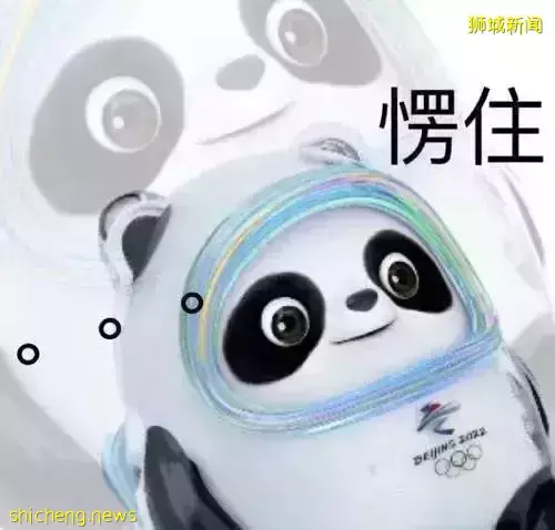 冰墩墩被炒到1000新币?!新加坡最帅议员也“带货”