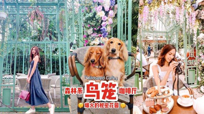 花园探店☕️ 隐藏版森系咖啡馆Wildseed Cafe🌹 经典复古建筑+巨型铁栅鸟笼，浓浓异国气息