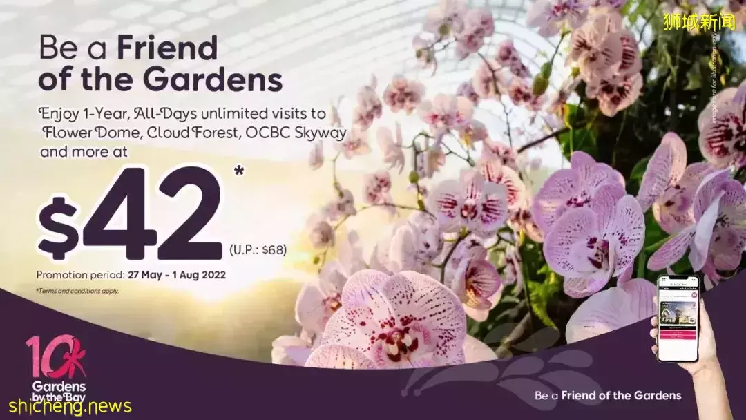 新加坡夜間嘉年華!燈光秀!$42濱海灣年卡!機場滑雪!$288機票大促