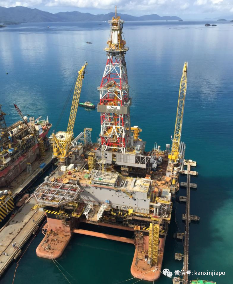 面对“无根据指责“，执政党新人昨早矢言“坚定立场 证明自己”，傍晚却闪电请辞