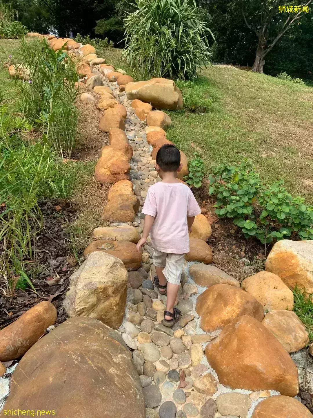 INS最火爆的新加坡公園,竟然還藏著一個超好玩的兒童遊樂場