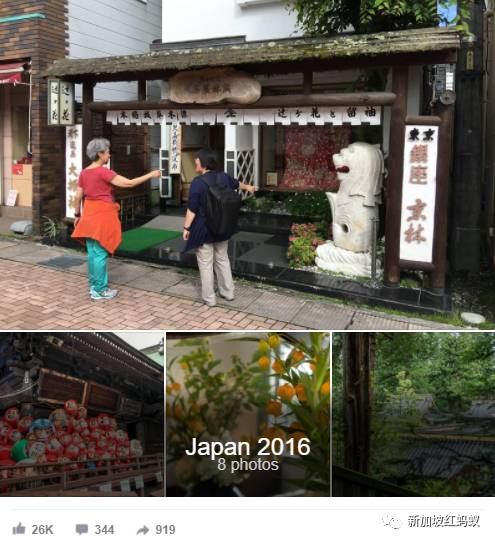 日本和歐洲也有魚尾獅? 它比你我知道的還要神出鬼沒