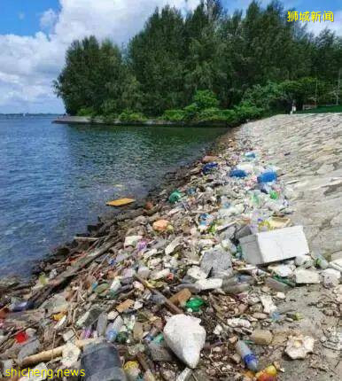 新加坡垃圾堆積成山!清潔工起薪到三千