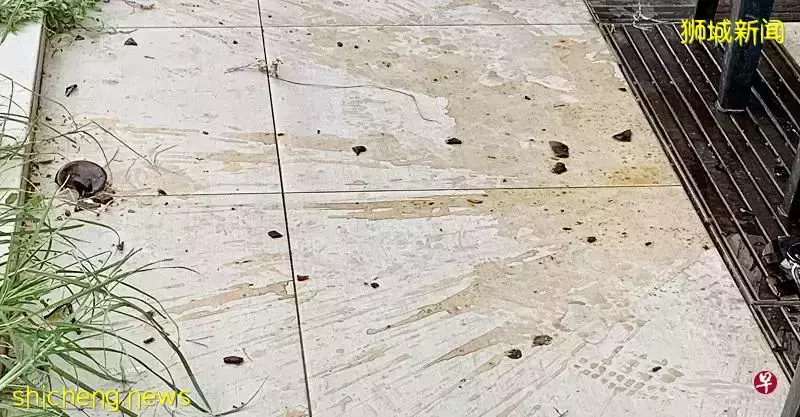 听见“多少”以为六旬妻被“问价” 男子怒拿酒瓶砸伤人