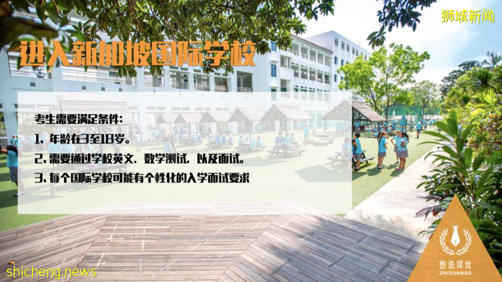 留學要趁早!新加坡低齡留學指南
