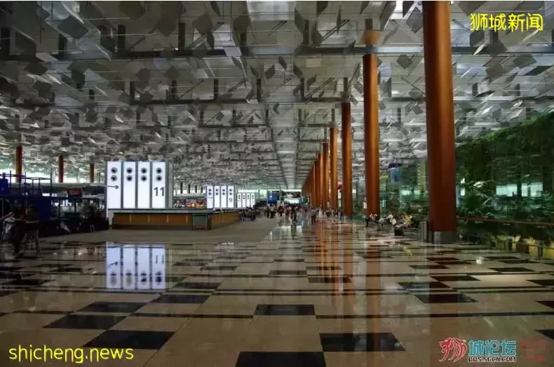 放宽入境的新加坡航空有多“野”?日本、印度、欧美统统“加飞”