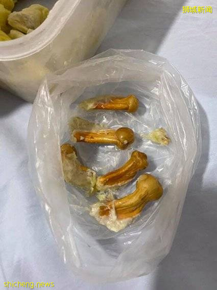 老饕客:種子細小 買金鳳榴梿 疑貨不對辦 !