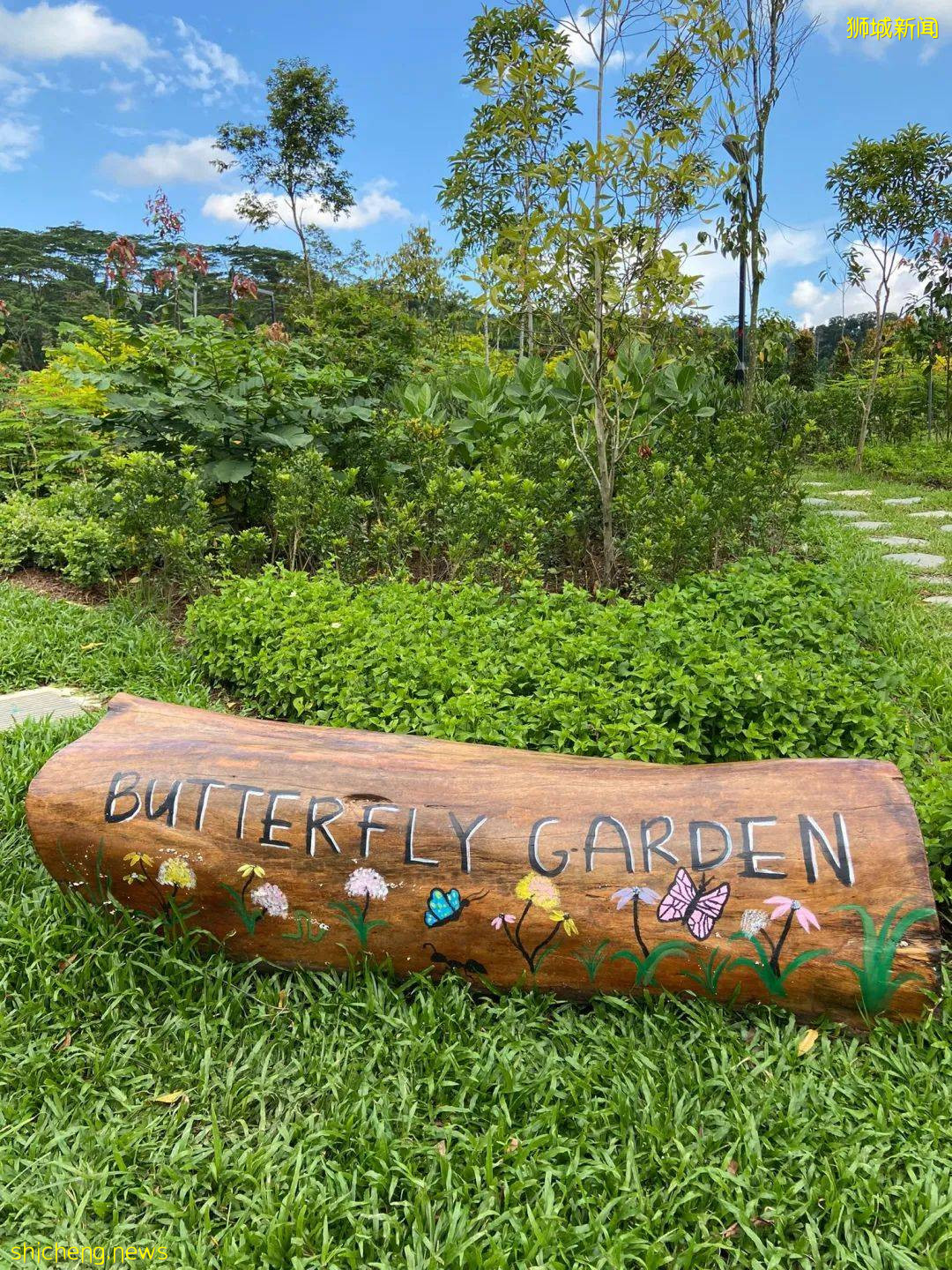 新加坡武吉甘柏公園開幕，蝴蝶園、遛狗場、山丘步道，登高遠眺好去處