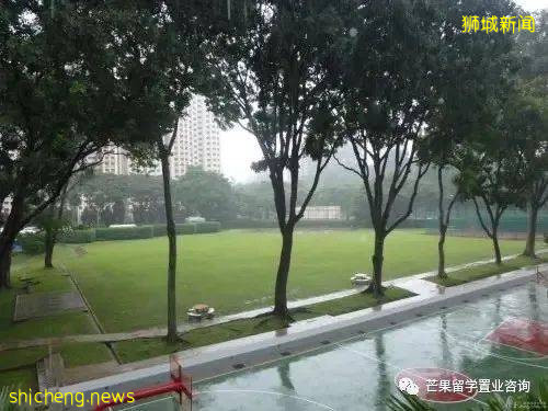 新加坡PSB学院开设平面设计与媒体课程,等你来解锁