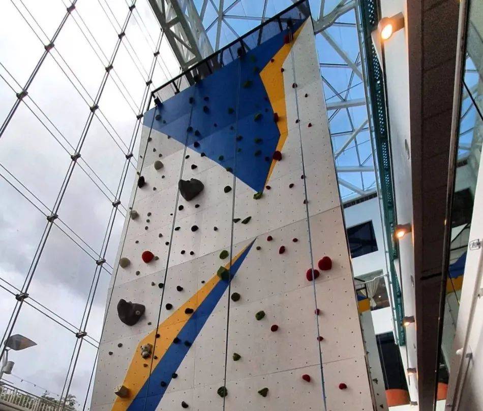 新加坡1月必看!这12个活动走起,炫彩霓虹、水獭快闪、最大狗狗水上乐园