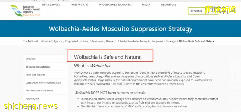 新加坡投放攜帶沃爾巴克菌雄蚊對抗登革熱