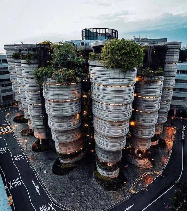 新加坡人对绿色有多着迷?公交车顶种草,大楼里植树,实在绝了