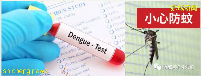 登革熱,新加坡感染的另一種“新冠病毒”!