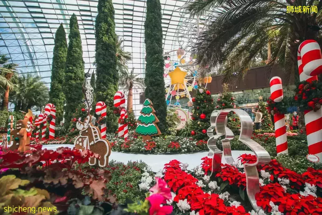 新加坡滨海湾花园一年一度圣诞仙境闪亮登场！花穹岁末花展带你走进童话世界