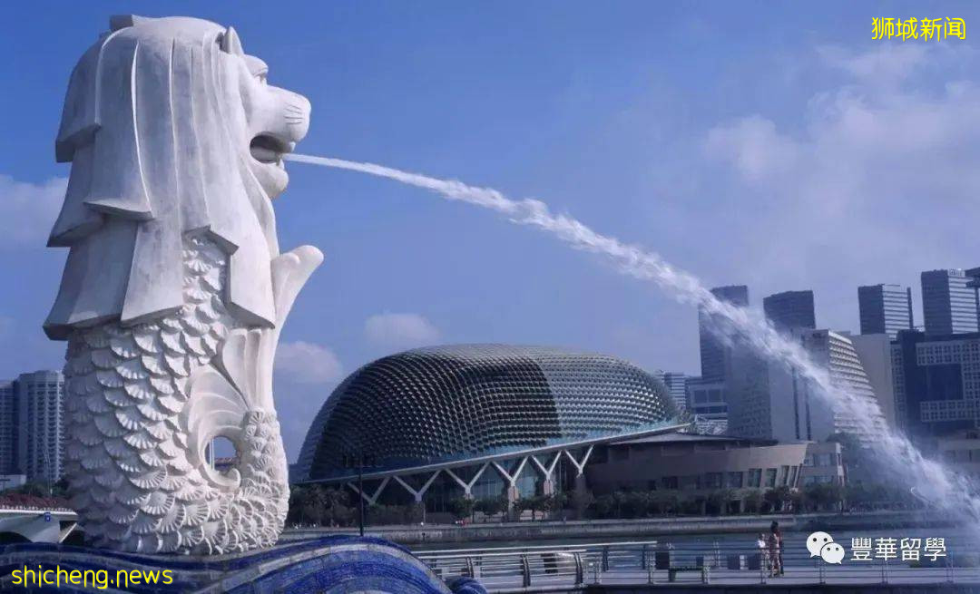 在新加坡读艺术到底好不好