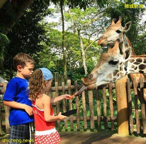 三十个新加坡冷知识，你确定都知道吗