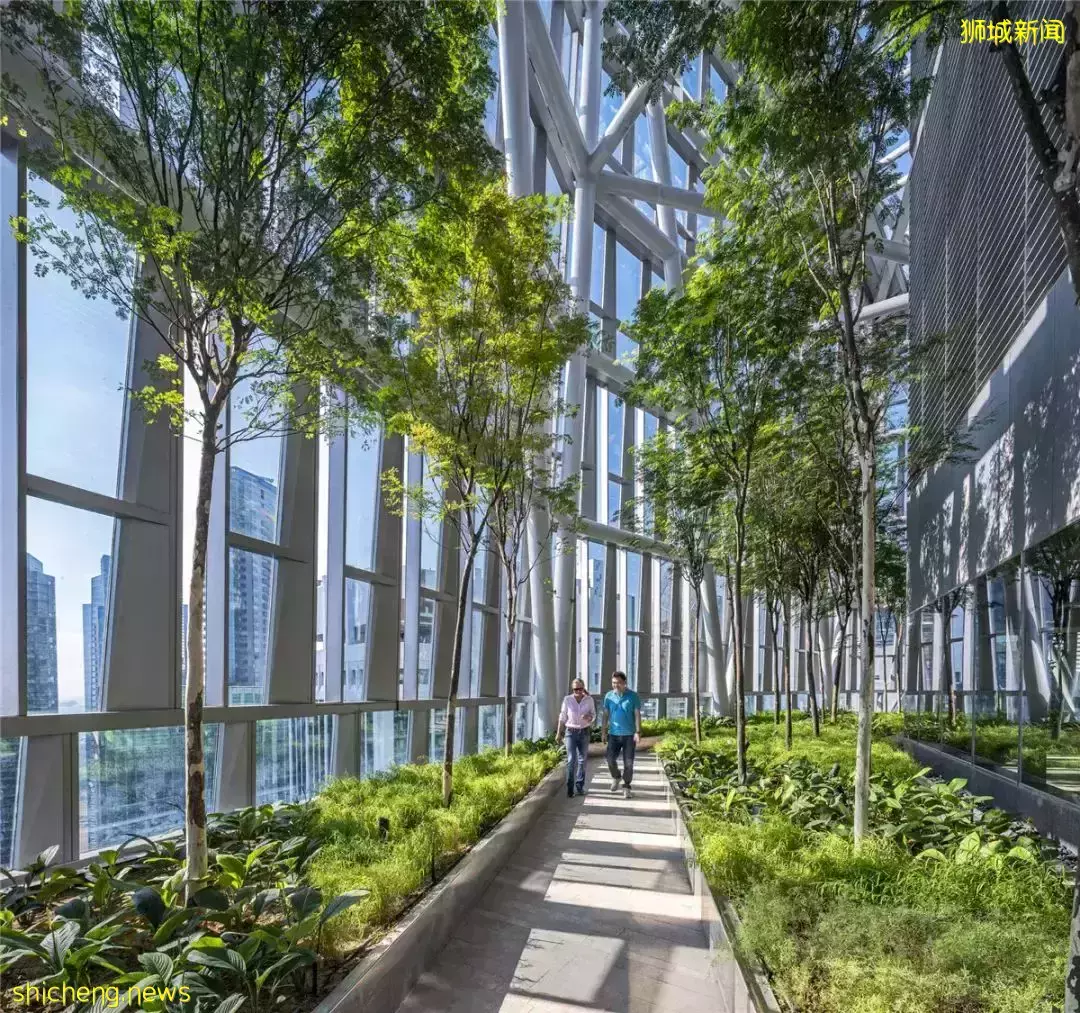 新加坡 18 Robinson KPF