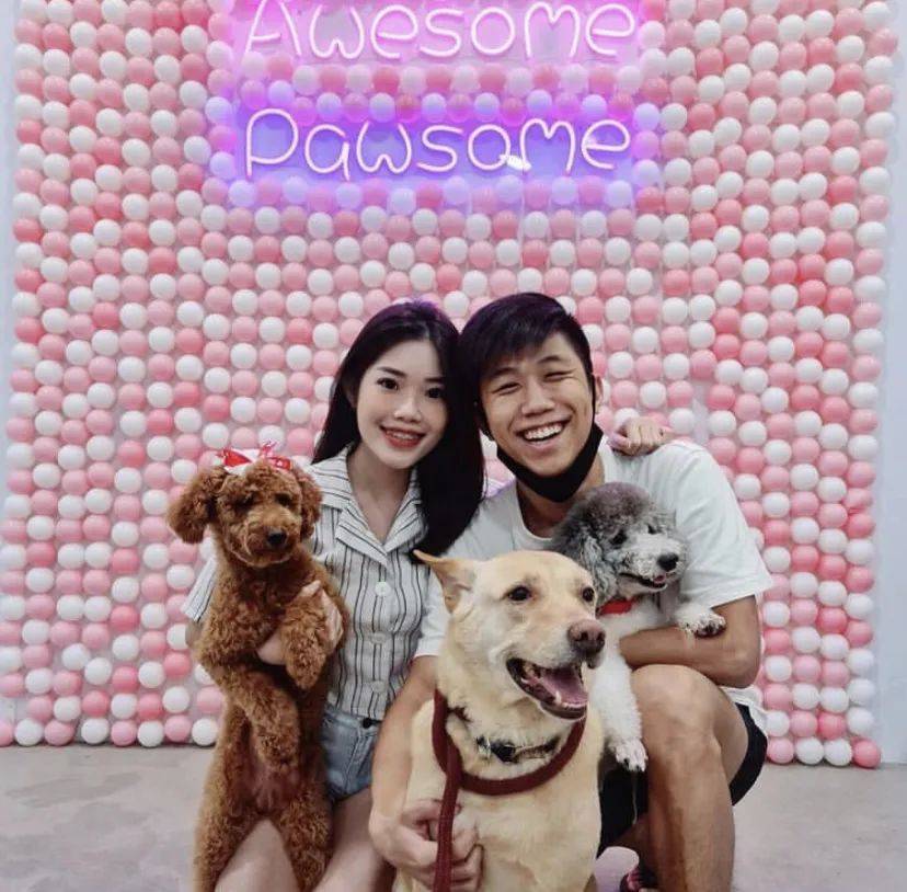 治愈系的它看一眼就愛不釋手！新加坡撸貓撸狗地圖來咯