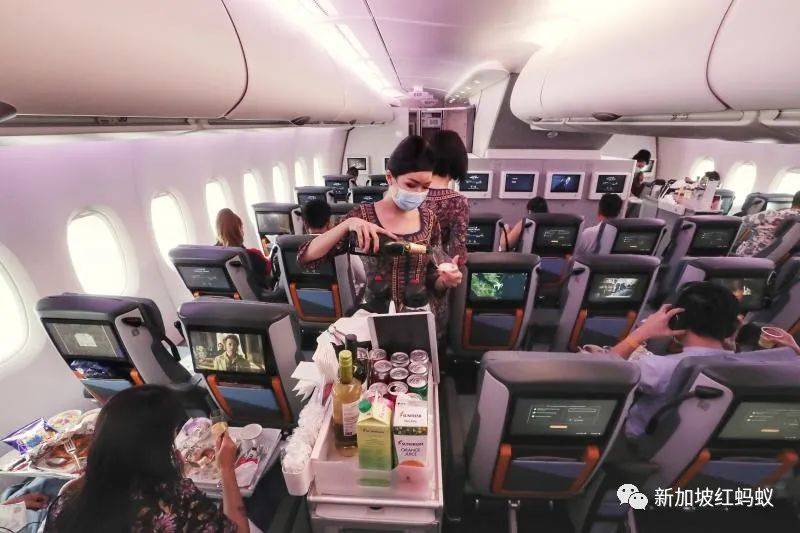 想出國想得有點瘋的新加坡人,出國夢今年還得夢裏相思