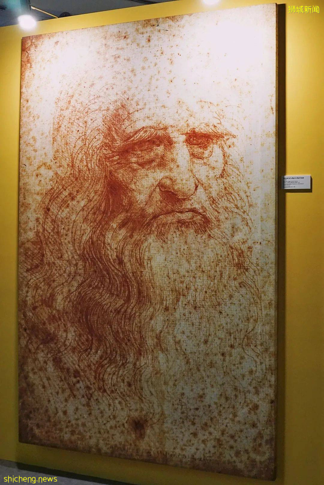 送票!獨家85折!火爆全球的達芬奇展,終于來新加坡啦!搶先看