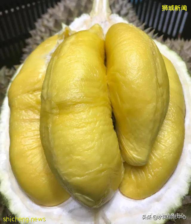 超火爆的榴梿主题餐厅,榴梿控挚爱的party怎能错过