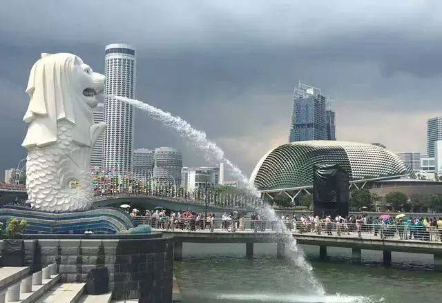 在新加坡，国际学生如何才能申请奖学金