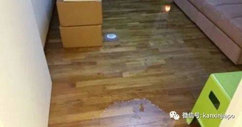 组屋漏水找政府就对了！但这几种属个人责任