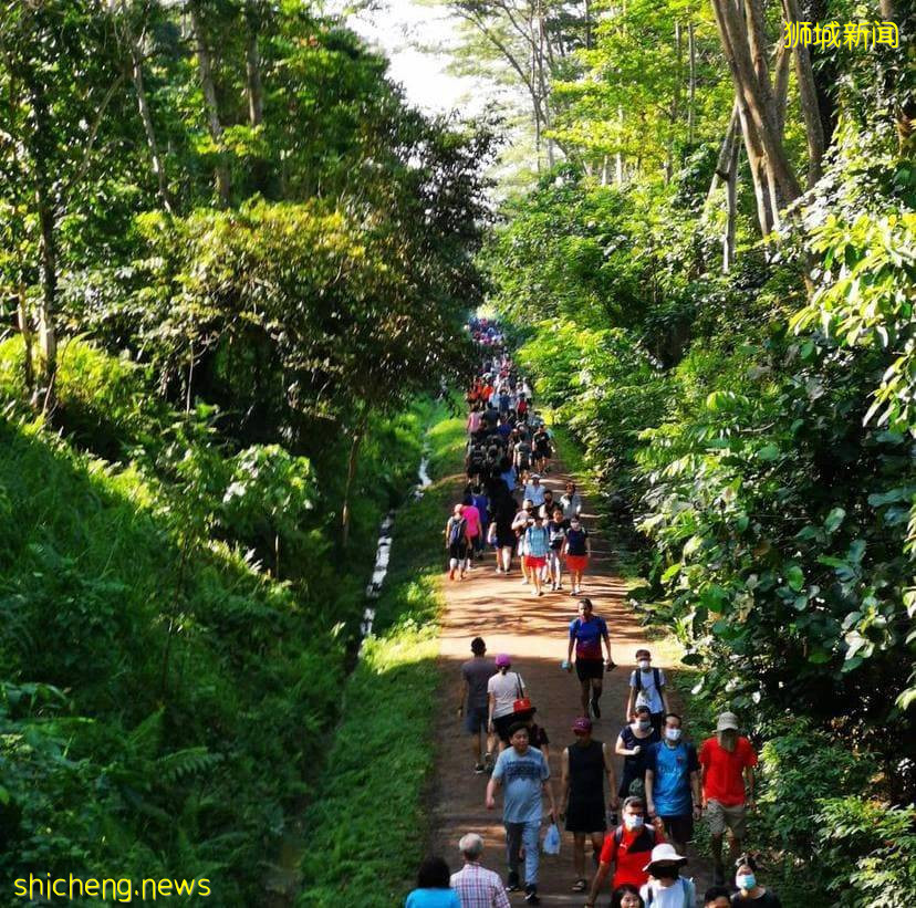 揭秘新加坡最新最热网红打卡地