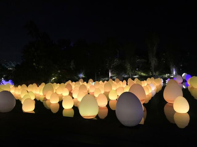 玩赛记:新加坡渣打马,夜游神出没,愈夜愈美丽