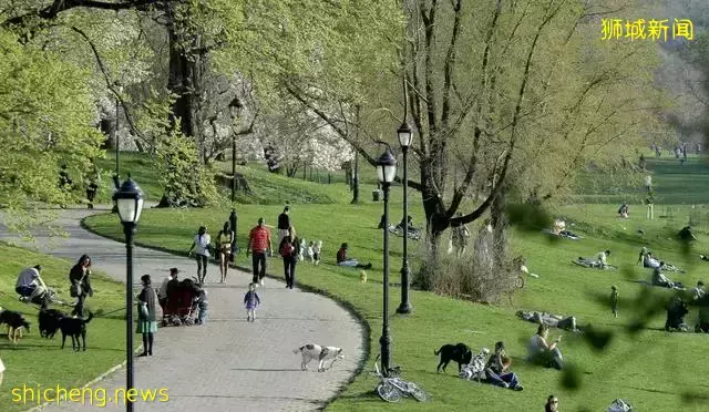 带你认识一个真实的新加坡,当地人的生活,让人很羡慕