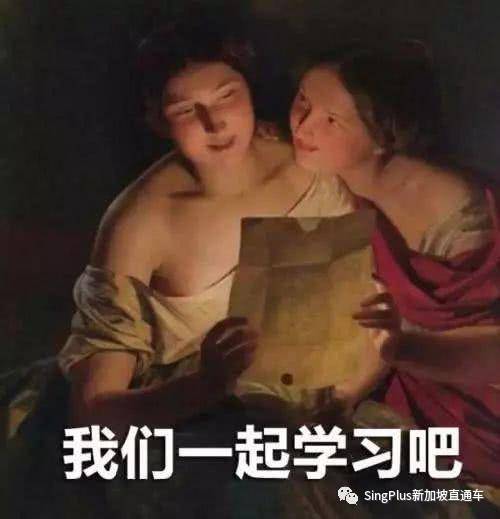 《新加坡高校留学生图鉴》