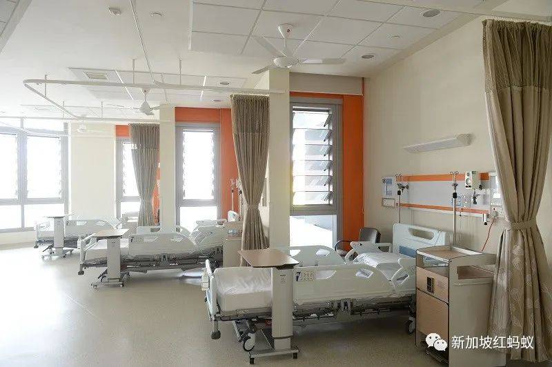 新加坡醫藥保費上漲該怪誰？　醫生和保險公司互指對方