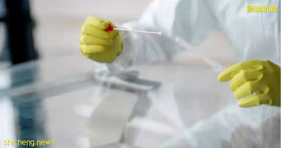 新加坡冠病病例迅速增加,是同冠病共存的必經之路 .