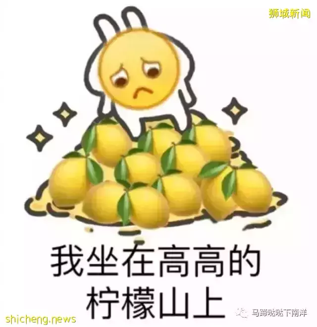 新加坡公司到底發多少年終獎？最後簡直“壕無人性”