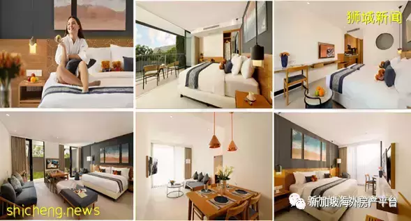 如何不付ABSD投資第二套房