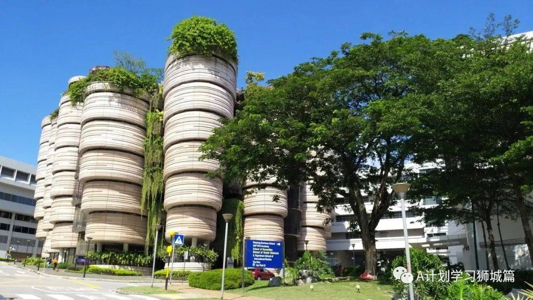 教育部最新公布：2020年新加坡國大、南大、新大及社科大畢業生就業率及薪金調查