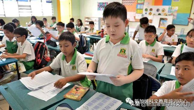 來新加坡讀政府小學,這些內容一定要知道