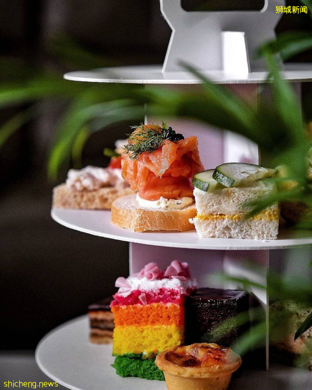 Window on the Park下午茶买一送一!人均$29++、仪式感爆棚,优惠直到7月31日📅