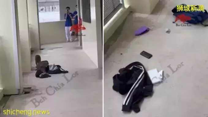 两猴子要读书    闯校园翻书包