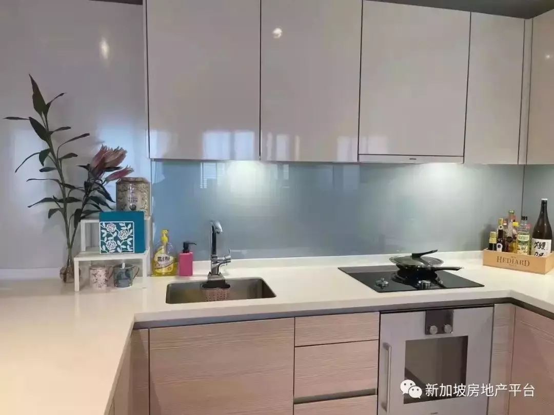 稀缺！無敵海景大平層出售 V on Shenton 珊頓雲尚 164平3臥 (D01郵區 濱海灣)