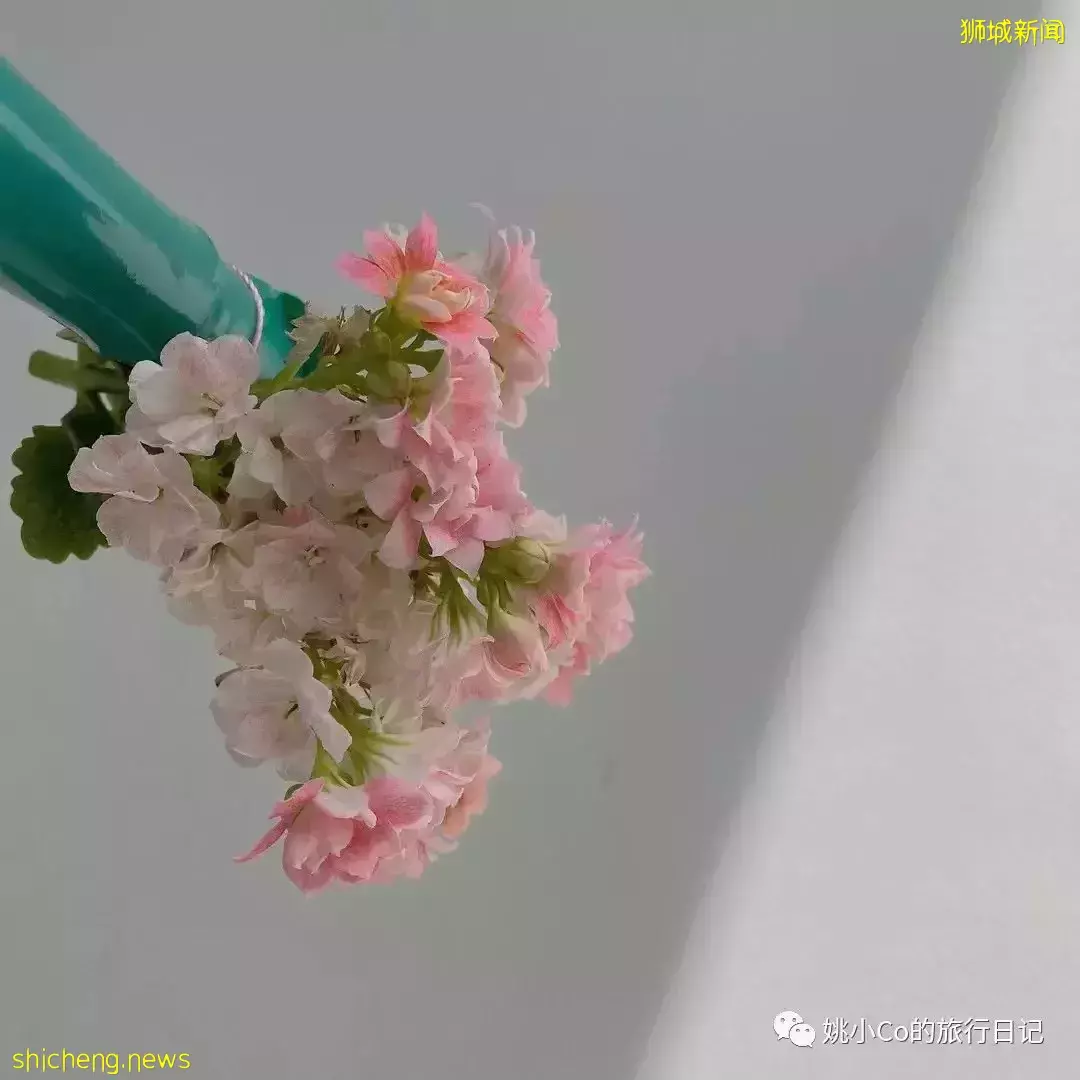 距离上次回国已经568天……在新加坡的你，过得还好吗