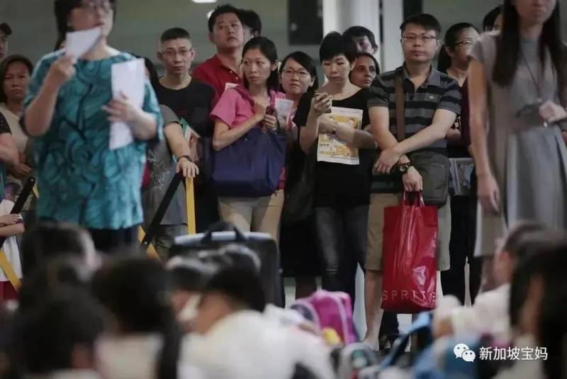 拼爹、拼房、拼義工……爲了孩子上小學,新加坡家長有多拼