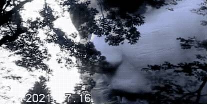 全网群嘲：东京奥运开幕式像阴间！设施简陋、开除导演乱透了！中新选手惊艳出场